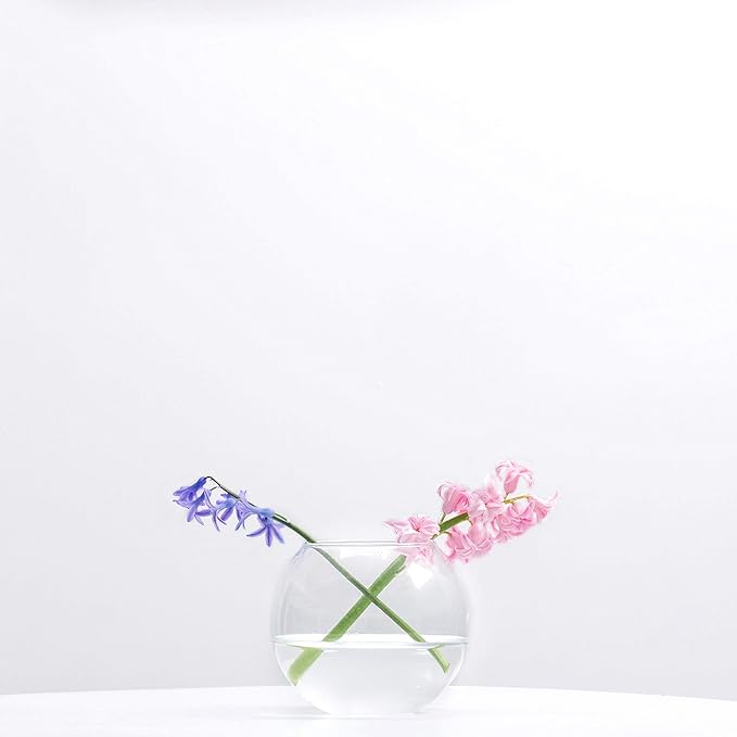 WGV Bowl Glass Vase Bulk, Diameter 6", Height 5", Open Width 4", (Multiple Sizes Choices) Clear Bubble Planter Terrarium Fish Bowl for Wedding Event Home Decor, 12 Pieces (VBW0006)