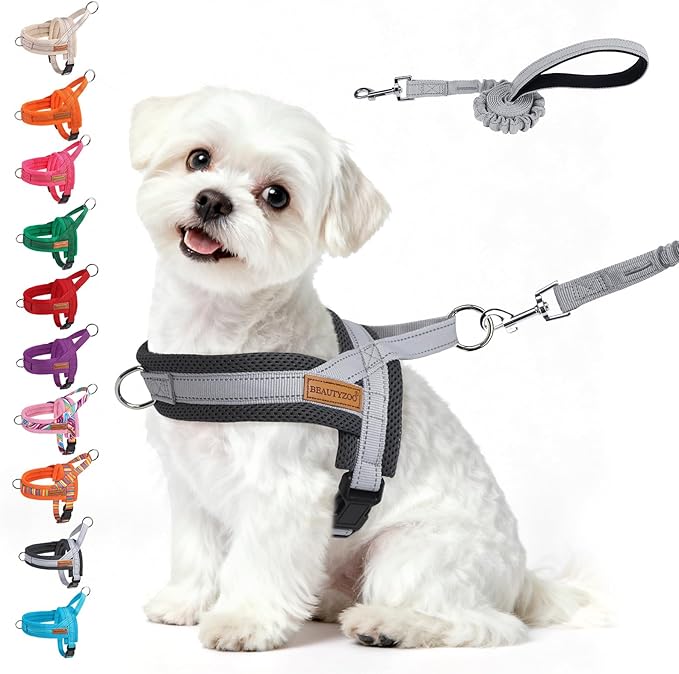 BEAUTYZOO Dog Harness for Small Dogs, No Pull Dog Harness and Leash Set, Soft Escape Proof Puppy Vest Harness with Handle, Reflective Lightweight Step in Harness for Girl Boy Dogs, Grey S