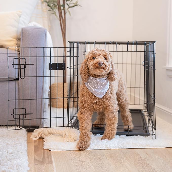 Carlson Pet Products Single Door Metal Dog Crate, Medium 30" Dog Crate for Medium Dogs & Puppies, Foldable Collapsible Dog Kennel with Removable Tray, Portable Wire Dog Cage for Training & Travel