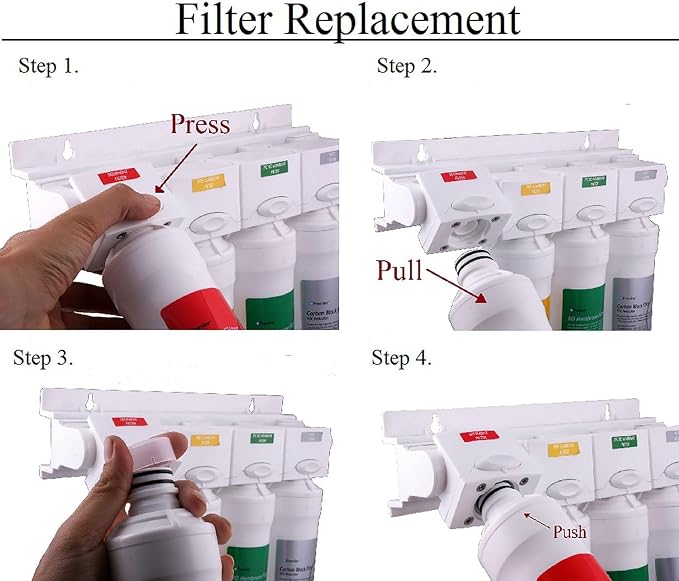 Watts Premier Bi-Annual RO Pure Plus 2-Pack Filtration Kit