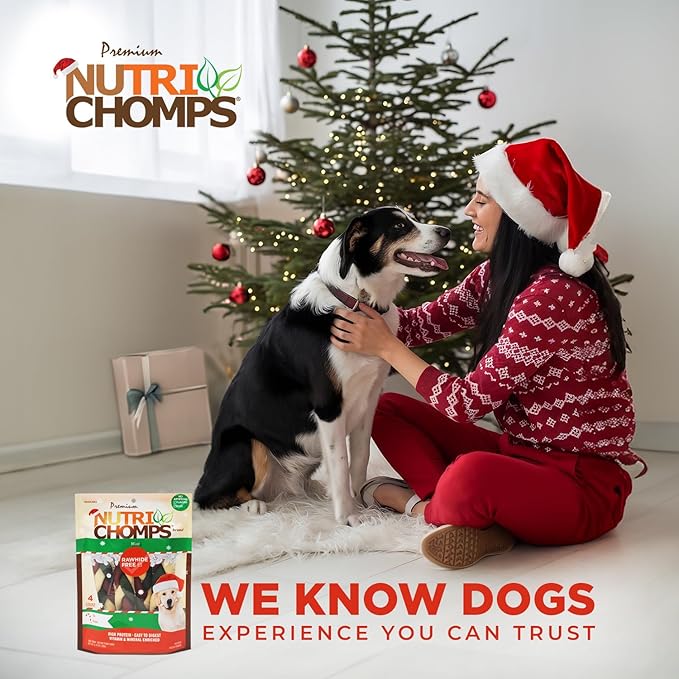 NutriChomps Dog Chews, 6 inch Braids, Mint Flavor, 4 count, Easy to Digest, Rawhide Free, Holiday Stocking Stuffer Treats, Christmas Gift for Dogs