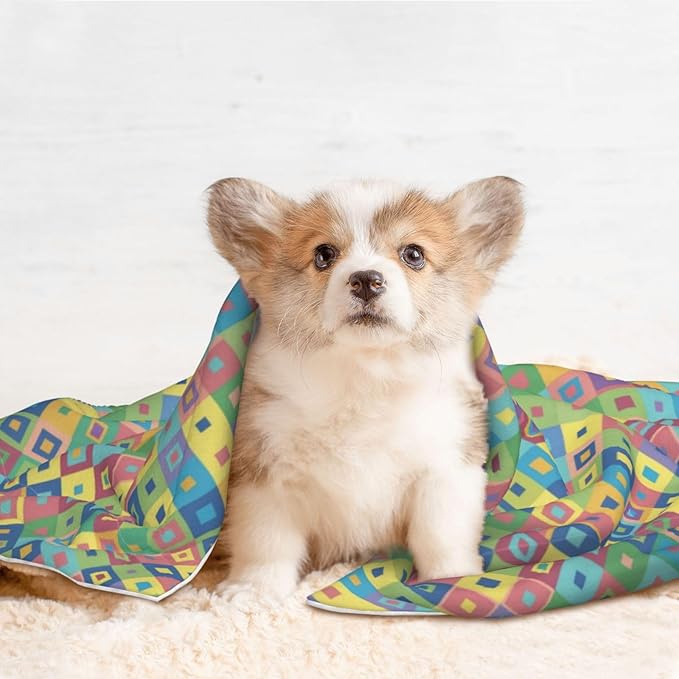 Double Sided Plush Pet Blanket with Cozy Dot Texture and Smooth Reverse, Rainbow Diagonal Plaid, Reversible Throw for Dogs Cats on Couches Beds Crates