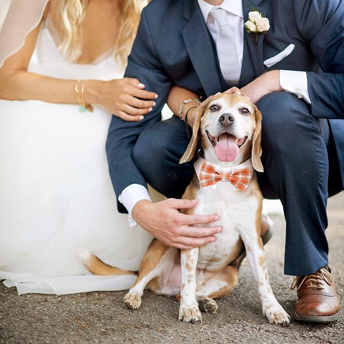Segarty Dog Bow Tie, Adjustable Orange Plaid Bowtie Collar for Neck Girth 10.2-12.6in, Medium Dog Tie Tuxedo Comfortable Cotton Boy Pets Grooming Accessories for Formal Wedding Holiday Birthday Party