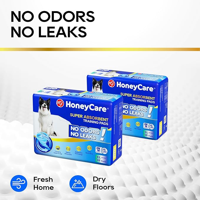 HONEY CARE All-Absorb, X-Large 28" x 34", 40 Count, Dog and Puppy Training Pads, Ultra Absorbent and Odor Eliminating, Leak-Proof 5-Layer Potty Training Pads with Quick-Dry Surface, Blue