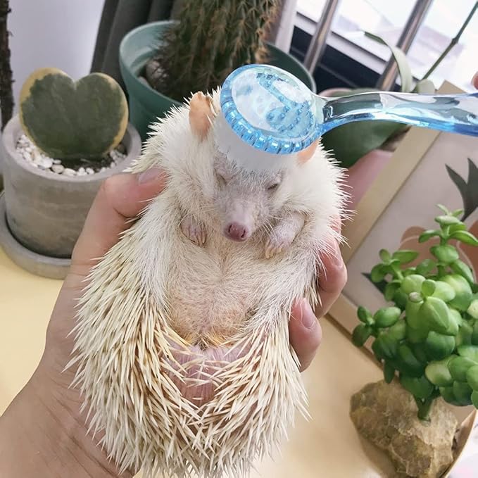2 Pack Hedgehog Bath Brush, Guinea Pig Massage Combs, Cleaning Supplies, fit Hamster, Ferrets, Rats, Chinchilla - Blue