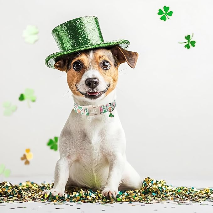 St Patricks Day Dog Collar for Giant Large Dogs - Cute Pastel Lucky Clover Dog Collars, Lightweight Adjustable Irish Green Festival Dogs Collars with Quick Release Buckle XL