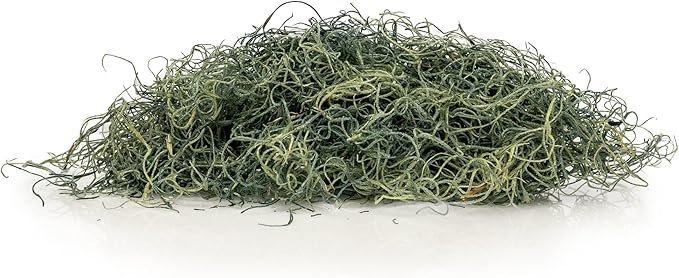 Premium Coconut Husk Chips and Fibers Mix for Orchids, Houseplant, Monstera and Fiddle Leaf Fig by GARDENERA (3 Quart Bag)