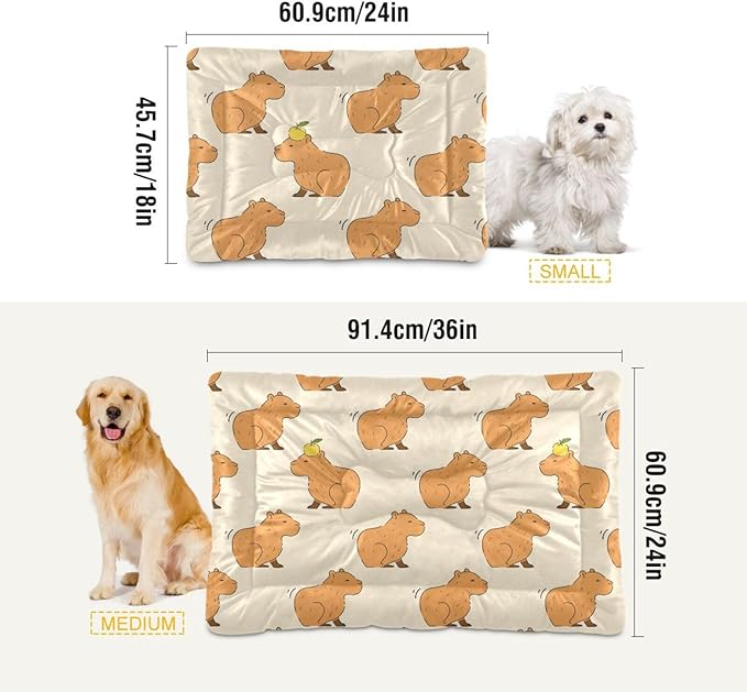 Pet Bed Cute Capybara Dog Bed Mat Absorbing Non Slip Pad Pet Sleeping Mat for Small, Medium, and Large Dogs Puppy Cat 36 in x 24 in