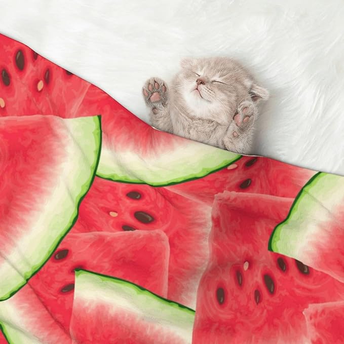 Double Sided Pet Throw for Dogs Who Shed, Watermelon Fruit Summer Art, Reversible Blanket with Nubby Dot Side Catches Loose Fur for Easier Furniture Cleanup