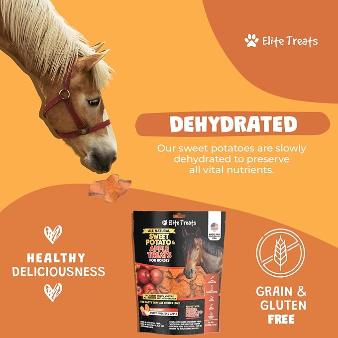 Horse Treats - Sweet Potato & Apple 16 oz. | All Natural, Dehydrated Treat | Made in The USA for Horses, Ponies, Donkeys | Made with Real Sweet Potato Slices and Apple Concentrate -16 oz