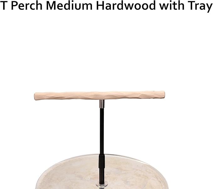 Parrot Training Perch Stand with Potty Tray (T Perch Hardwood, Medium)