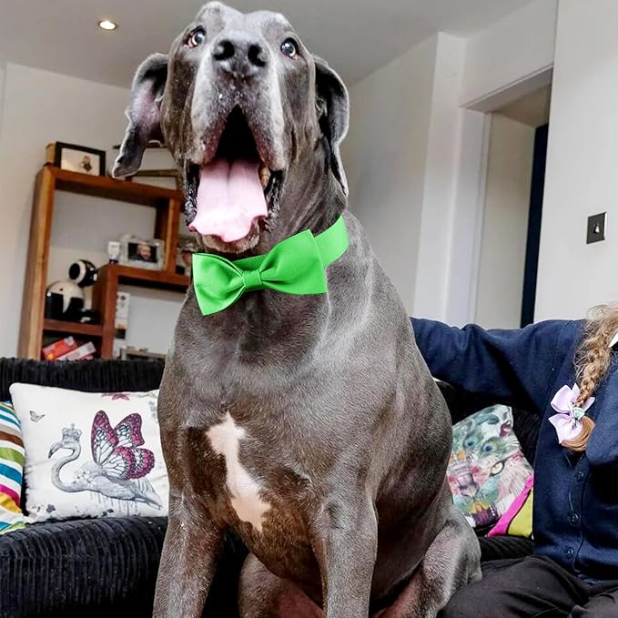 Segarty Bow Tie for Dogs Neck Girth 16.5-21.3in, Adjustable Green Bowtie Collar Extra Large Dogs, Dog Necktie Tuxedo Comfortable Cotton Boy Pet Grooming Accessory for Formal Wedding Holiday Birthday