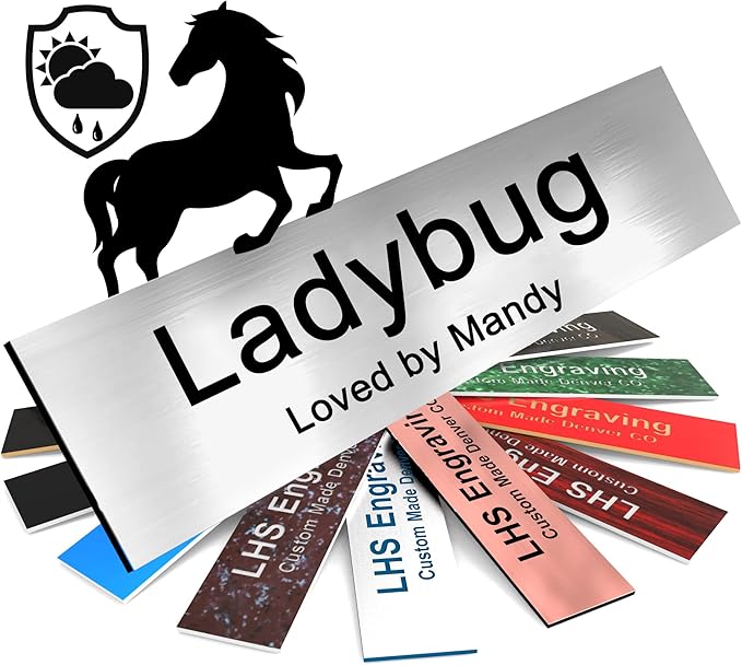 Personalized Horse Stall Name Plates, 2x10 Horse Stall Signs with Adhesive, All Weather UV Protected, Black Brushed Steel Plastic Black Letters - Made in USA - M1