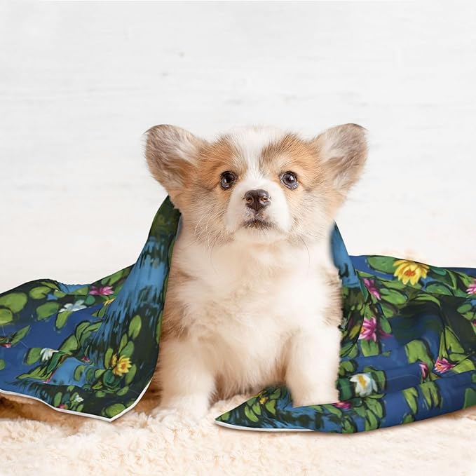 Pet Blanket for Couches and Beds, Water Lilies Monet Painting, Reversible Double Sided Plush Design with Soft Bumpy Texture and Smooth Surface, Furniture Protector
