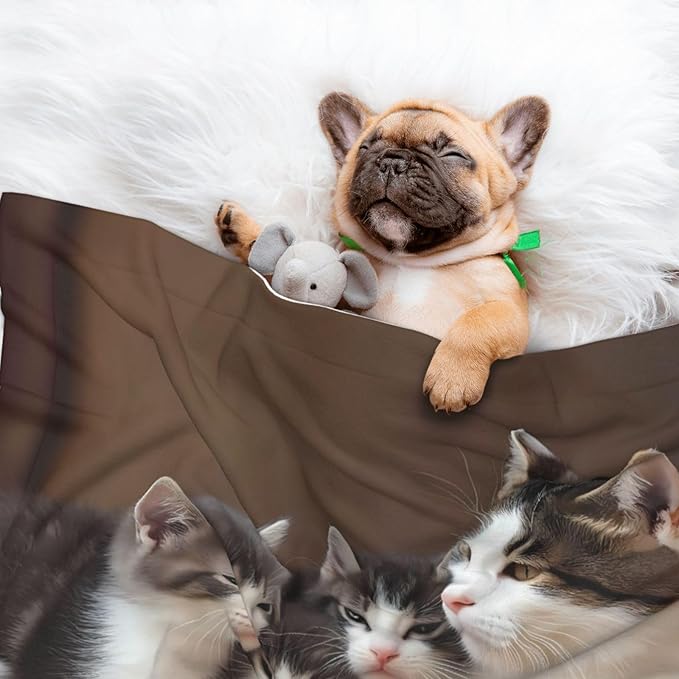Cat Family Print Soft Plush Pet Blanket, Washable Dog Blanket, Cat Fleece Throw, Puppy Bed Crate Mat & Sofa Couch Protector - Small