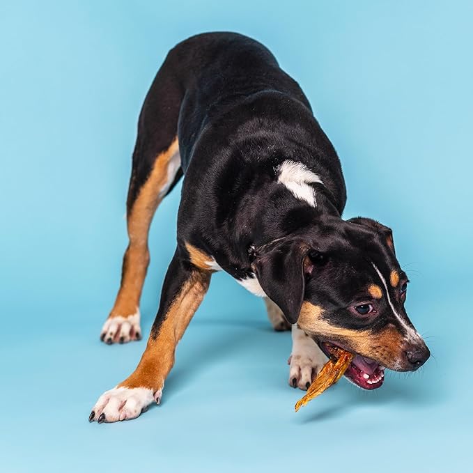 Best Bully Sticks Duck Feet - 30 Count (Pack of 1) - All-Natural, Single-Ingredient, Easily Digestible, Supports Hips and Joints - Safe Alternative to Chicken Feet Dog Treats