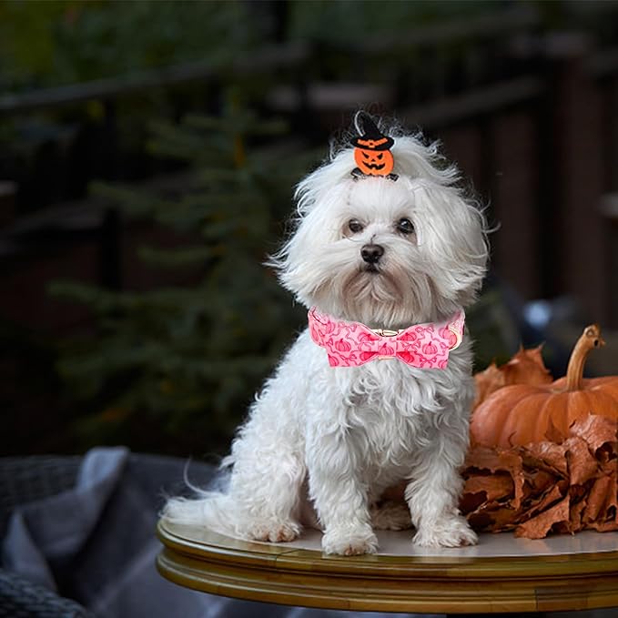 Dog Collar, Pink Pumpkin Print Adjustable Pet Collar Cute Cotton Soft Collars with Bow Tie Fall Metal Buckle Holiday Puppy Collars Boy&Girl Gift for X-Large Dogs