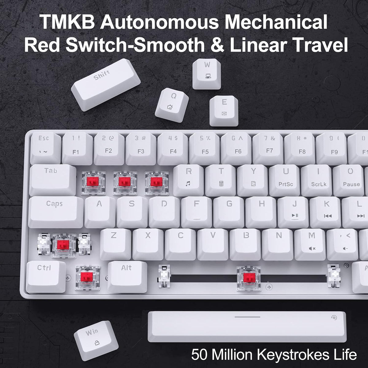 DIERYA T68SE 60% Gaming Mechanical Keyboard,Ultra Compact Mini 68 Key with Red Switches Wired Keyboard,Anti-Ghosting Keys, for Windows Laptops and PC Gamers,White