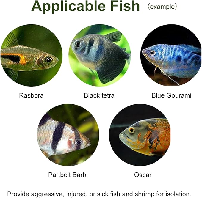 Acrylic Transparent Fish Tank, Breeding Isolation Box Aquarium Hatchery Incubator Holder with Screw Reinforcement, Convenient Use Comes with Isolation Board for Fish Breeding