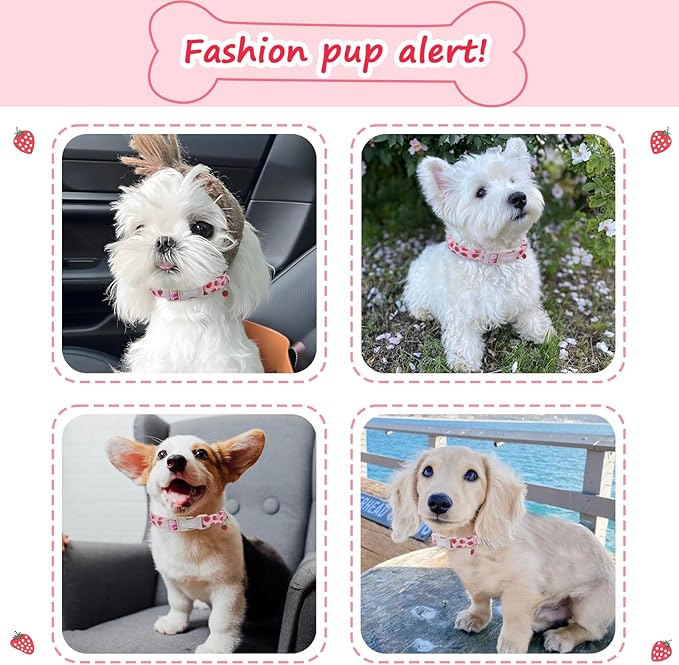 Strawberry Dog Collar, Cute Pink Dog Collars for Extra Small Dogs, Sweet Fresh Style Pet Collar Extra Small Dog Collars, Puppy Collar with Quick Release Buckle for Girl Boy Dog-XS