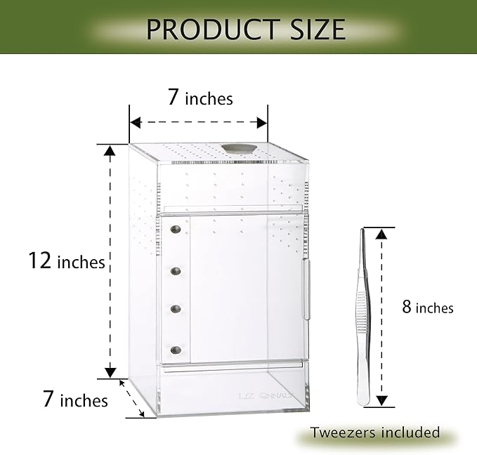 Acrylic Terrarium for Reptiles & Spiders – Small/Medium/Large Leak-Proof Enclosure (Horizontal/Vertical) | Ideal for Tarantulas, Jumping Spiders, Frogs & Geckos (Large Vertical)