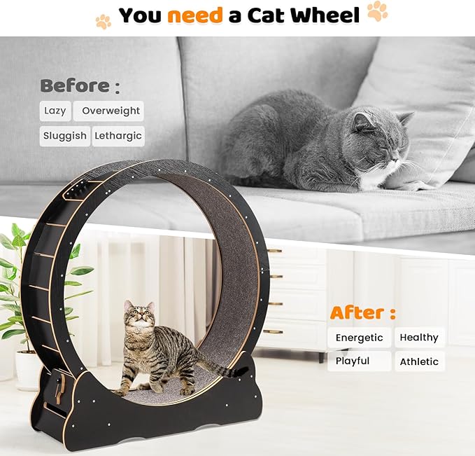 VINGLI Cat Wheel, Large Exercise Wheel for Indoor Cats, Silent Cat Running Wheel with Safety Lock, Black (39.4 inch)