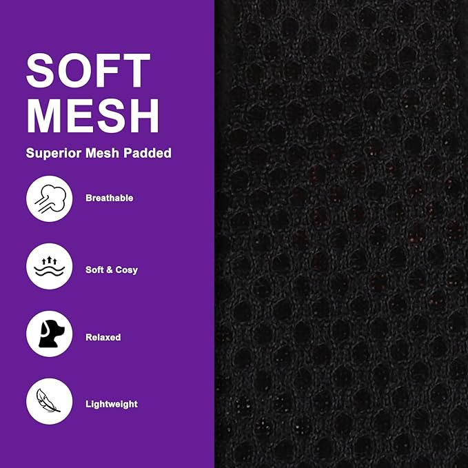 EXPAWLORER Halloween Puppy Harness - Dog Collar and Leash - Soft Mesh Padded Adjustable Step in Small Dog Vest Harness No Pull, Reflective Escape Proof for Outdoor Walking, Purple S