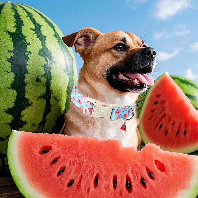 Adjustable Summer Dog Collar, Cute Watermelon Dog Collars for Puppy Small Dogs, Lightweight Quick-Release Buckle Collar for Boy&Girl Dogs XS