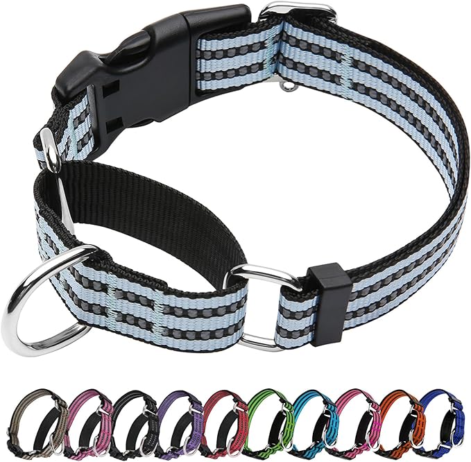 Martingale Dog Collar, Adjustable Nylon Reflective Collar with Quick Release Buckle (Ice Blue, Medium)