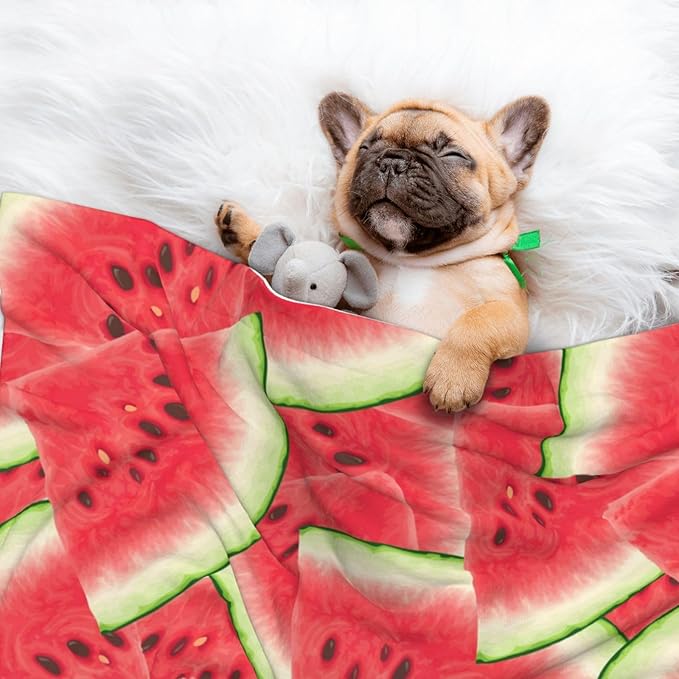 Pet Blanket for Car Rides Vet Visits, Watermelon Fruit Summer Art, Two Sided Reversible Plush Design with Bumpy Dot Side Offers Comfort Home Piece On Go Travel