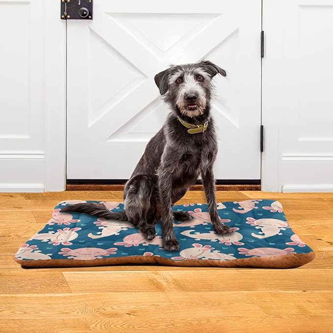 Cute Axolotl Pet Bed Cute Dog Bed Mat Absorbing Non Slip Pad Pet Sleeping Mat for Small, Medium, and Large Dogs Puppy Cat 24 in x 18 in