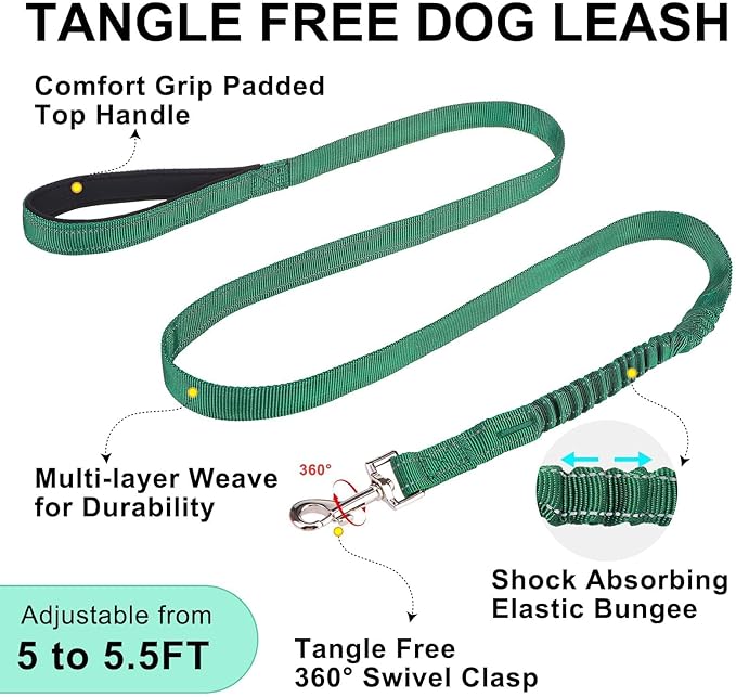 BEAUTYZOO Dog Harness for Small Dogs, No Pull Dog Harness and Leash Set, Soft Escape Proof Puppy Vest Harness with Handle, Reflective Lightweight Step in Harness for Girl Boy Dogs, Green XS