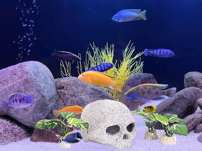 Fish Aquarium Decorations Cave Hide with Viewing Window for Betta Fish Tank Decor