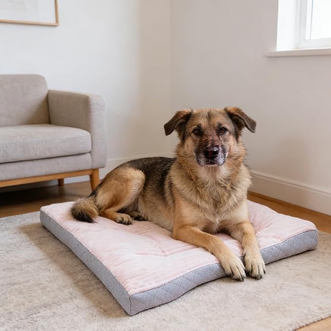 Dog Bed,pet Beds & Furniture,Machine-Washable Cushion for Dogs and Cats,Suitable for Dogs, Floor Furniture Use Pink S