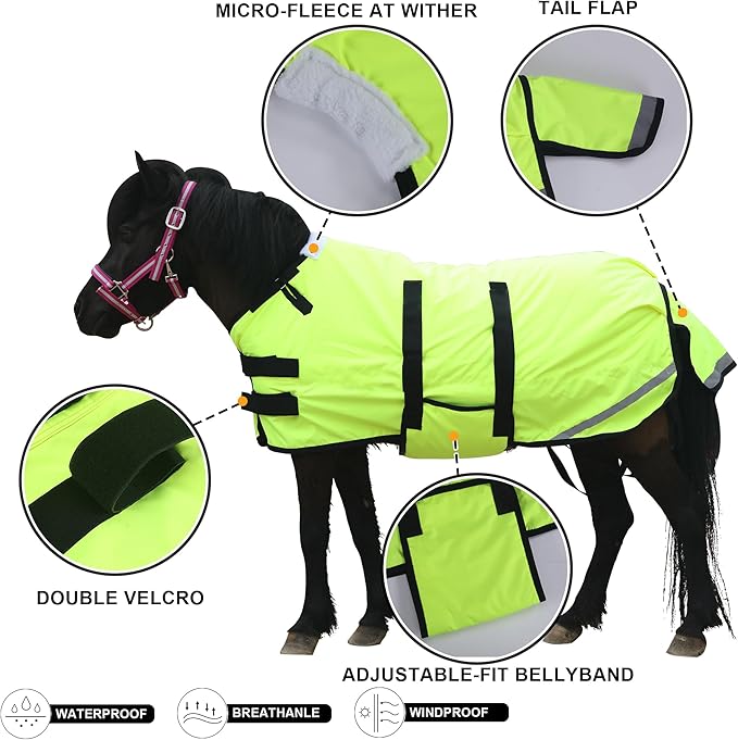 Foal/Mini Horse Size 30"-48" Waterproof & Breathable 300 Denier Winter Turnout Blanket with 150g Polyfill Green Medium