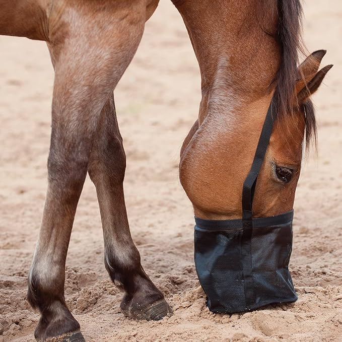 Cashel Horse Feed Rite Bag (FRB)