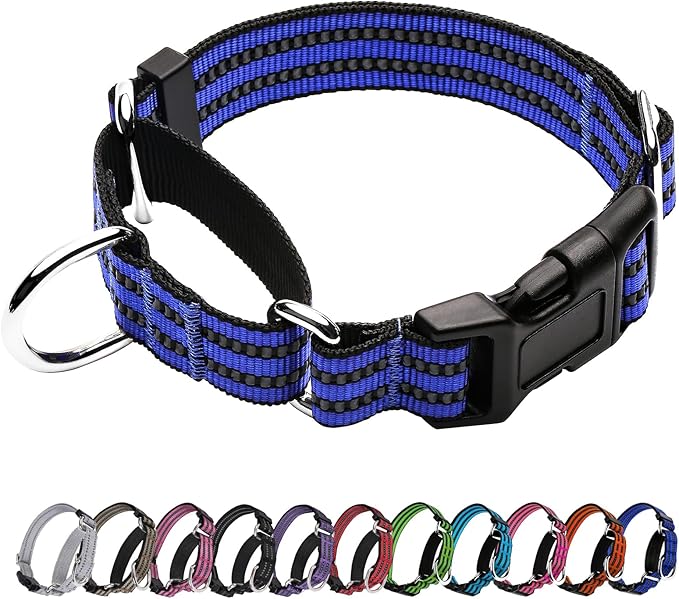 Martingale Dog Collar, Adjustable Nylon Reflective Collar with Quick Release Buckle (Royal Blue, Small)