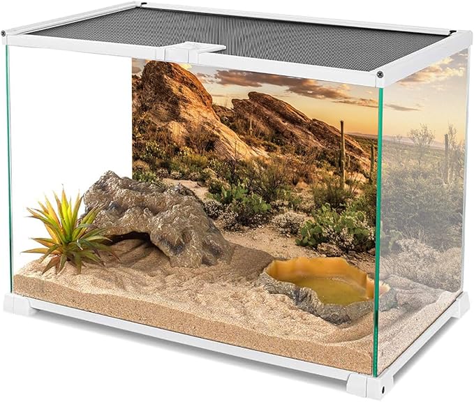 AWERT Reptile Habitat Background Blue Sky Oasis Cactus Sun and Desert Terrarium Background 48x20 inches Durable Polyester Background