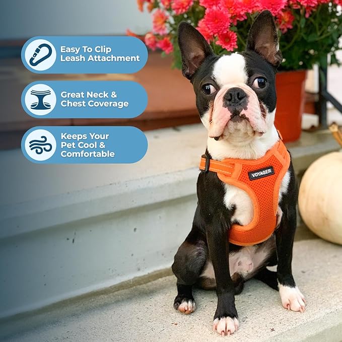Best Pet Supplies Voyager Adjustable Step-in Flex Breathable Mesh Dog Harness for Small Medium Large Dogs Leash Set (Orange), XS