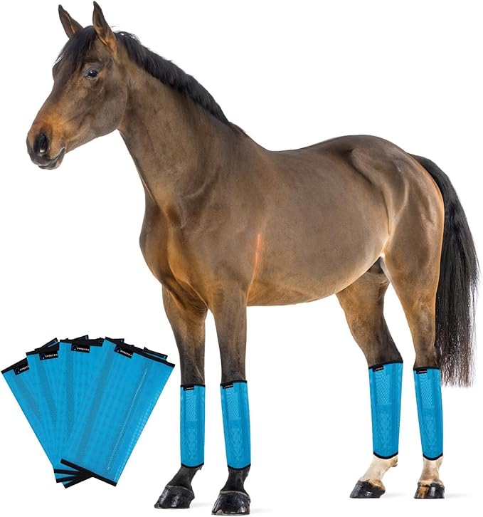 FOXLVDA Horse Fly Boots - Fly Boots for Horses Set of 4, Comfortable Horse Leggings, Mesh Material Design with Metal Support Bars for Reduces Stomping & Leg Fatigue (Blue, Medium)