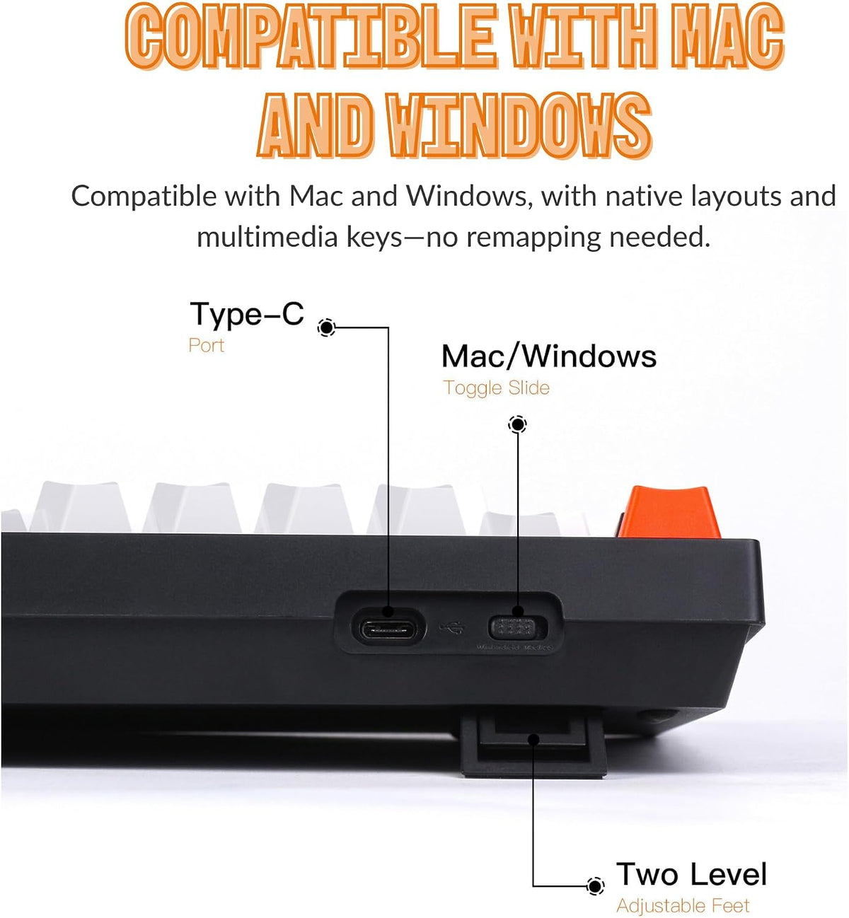 Keychron C2 Wired Full-Size Keyboard, Brown Switch, RGB Backlit