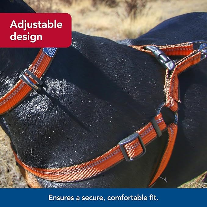Coastal Pet K9 Explorer Reflective Adjustable Padded Dog Harness - Plush Chest Pad for Comfort - No-Pull Dog Harness for Small and Large Dogs - Berry - 5/8" x 12"-18", X-Small