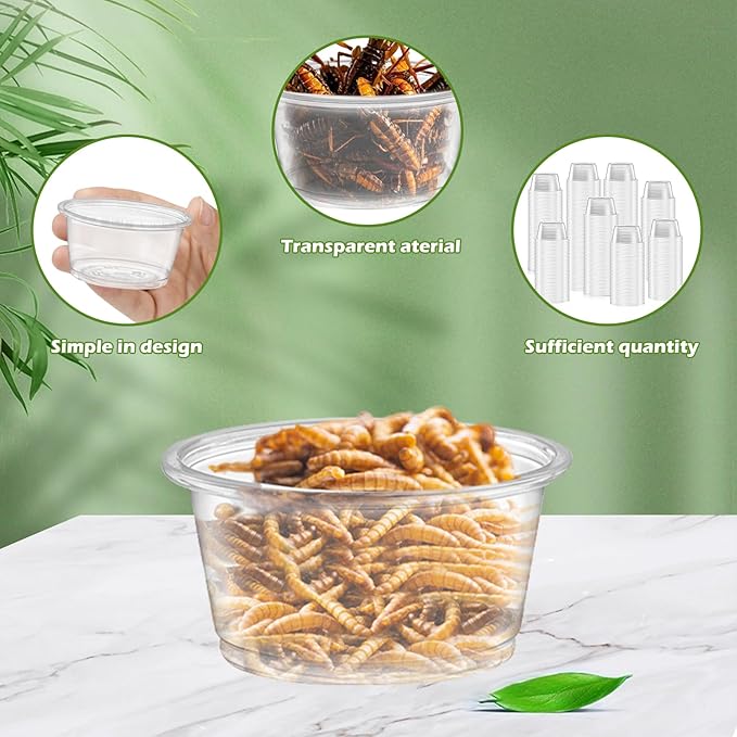 600PCS 0.5oz Gecko Food Cups | Durable Plastic Leak-Proof Reptile Feeder Cups - for Geckos, Lizards & Small Pets | Multi-Purpose for Terrarium Daily Feeding(0.5oz)