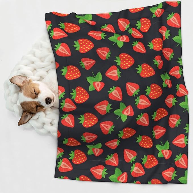 Two Sided Pet Cuddler Blanket for Anxiety Calming, Cute Red Strawberry Pattern Black, Reversible Plush Design with Bubble Dot Pattern Provides Familiar Surface Anywhere