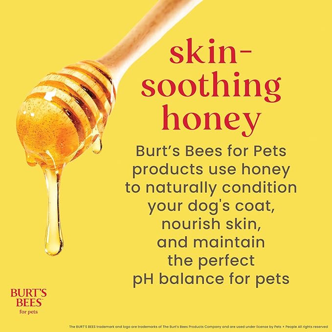 Burt's Bees for Pets Dog Paw and Nose Lotion with Rosemary and Olive Oil, Moisturizing Paw Balm for Dry Cracked Pads and Dog Nose Butter Moisturizer, Paw Lotion for Dogs Skin Care, 4 Fl Oz - 24 Pack