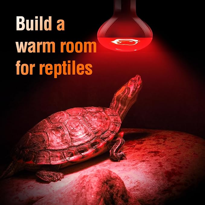 Leoterra Reptile Heat Lamp Bulbs 2PACK100w Red Night Heat Lamp Bulbs for Reptile Tank,Turtle,Bearded Dargon,Lizard,Snake,Chincken,Dog,Hedgehog Night Use Infrared Heat Lamp Bulbs,Long Lasting