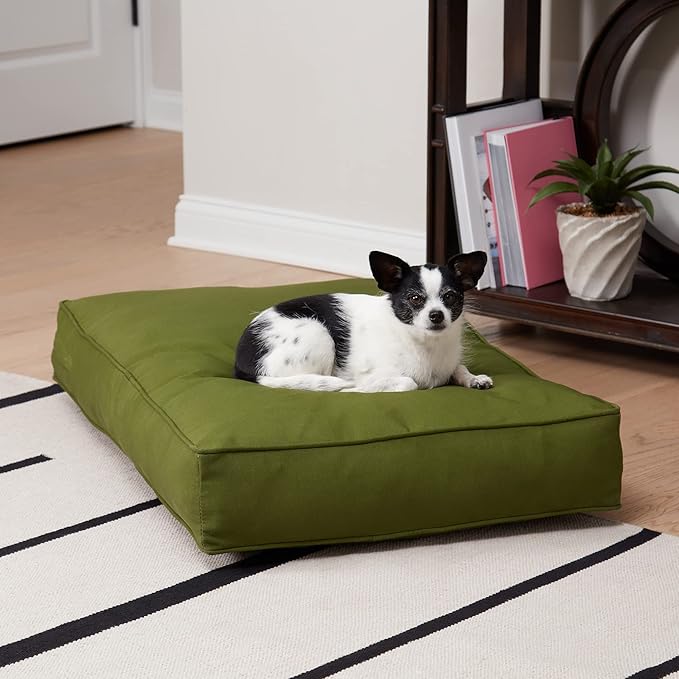 Casey Small (36 x 24 in.) Hunter Rectangle Indoor/Outdoor Pillow Style Dog Bed
