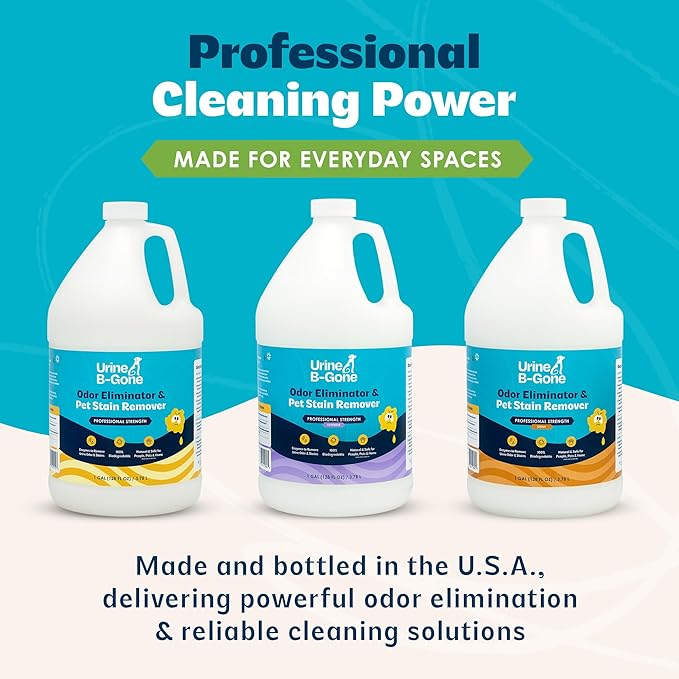Urine B-Gone, Professional Enzyme Odor Eliminator & Pet Stain Remover, Human, Cat & Dog Urine Cleaner, Effective on Laundry, Carpets & More, Original Scent, 1 Gallon