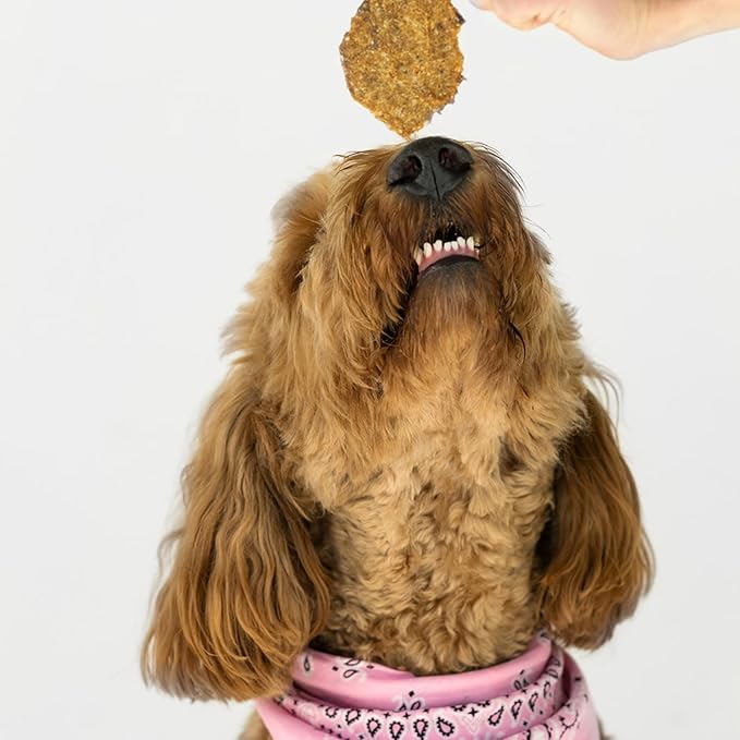 Winnie Lou Turkey Jerky Dog Treats - Limited Ingredient, Human Grade, Training Treats for Small, Medium & Large Dogs, USA Made, High Protein, Chews, Hypoallergenic, Sensative Stomach (2 Pack)