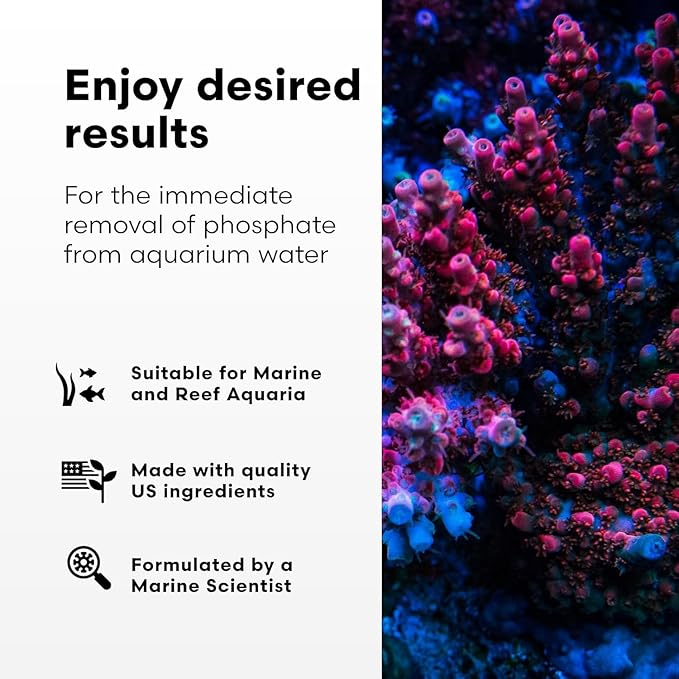 Brightwell Aquatics Phosphat-E - Liquid Phosphate Remover for Marine Fish and Reef Aquarium